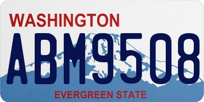WA license plate ABM9508