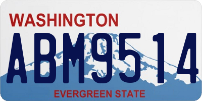 WA license plate ABM9514