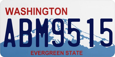 WA license plate ABM9515
