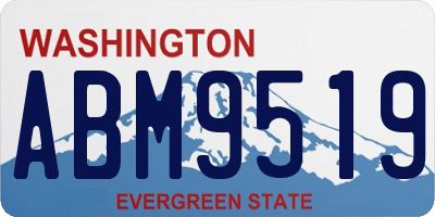 WA license plate ABM9519