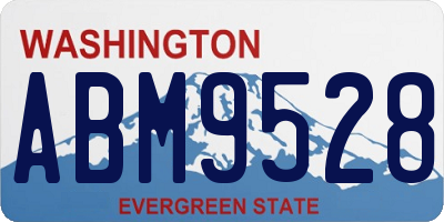 WA license plate ABM9528