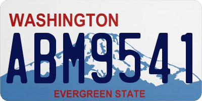WA license plate ABM9541