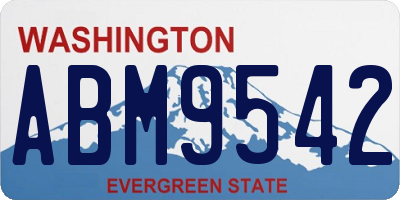 WA license plate ABM9542