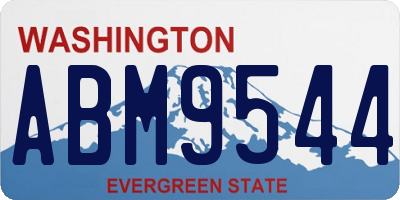 WA license plate ABM9544