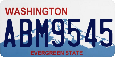 WA license plate ABM9545
