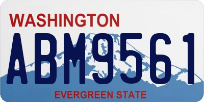 WA license plate ABM9561