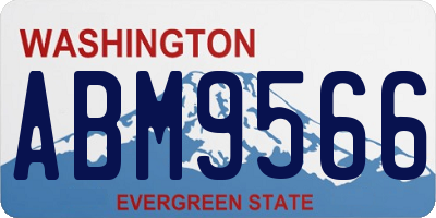 WA license plate ABM9566