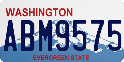 WA license plate ABM9575