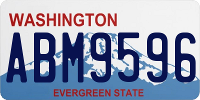 WA license plate ABM9596