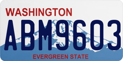 WA license plate ABM9603
