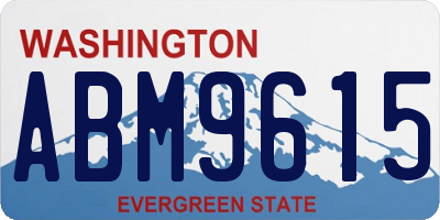 WA license plate ABM9615