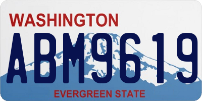 WA license plate ABM9619