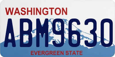 WA license plate ABM9630