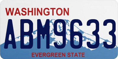 WA license plate ABM9633