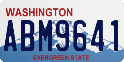 WA license plate ABM9641