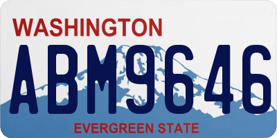 WA license plate ABM9646