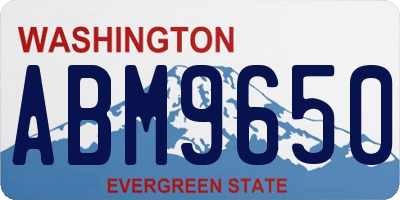 WA license plate ABM9650