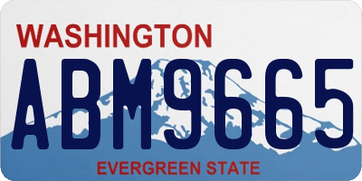 WA license plate ABM9665