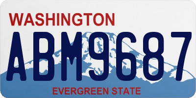 WA license plate ABM9687