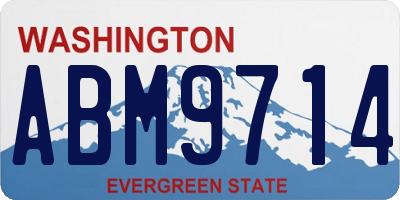 WA license plate ABM9714