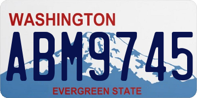 WA license plate ABM9745