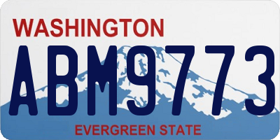 WA license plate ABM9773