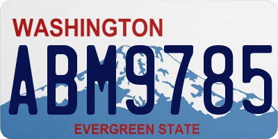 WA license plate ABM9785