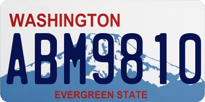 WA license plate ABM9810