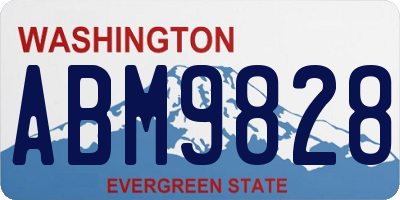 WA license plate ABM9828