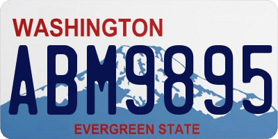 WA license plate ABM9895