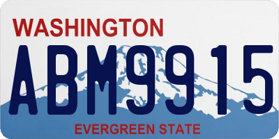 WA license plate ABM9915