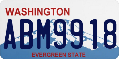 WA license plate ABM9918
