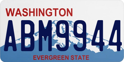 WA license plate ABM9944