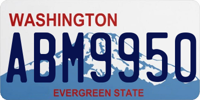 WA license plate ABM9950