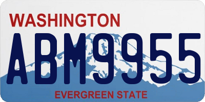 WA license plate ABM9955
