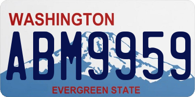 WA license plate ABM9959