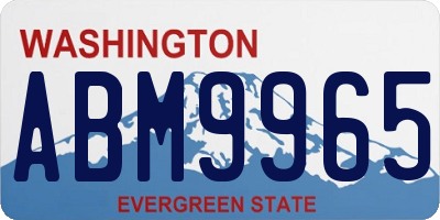 WA license plate ABM9965