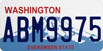 WA license plate ABM9975