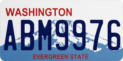 WA license plate ABM9976
