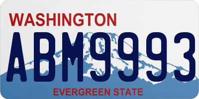 WA license plate ABM9993