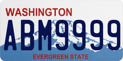 WA license plate ABM9999