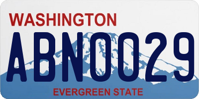 WA license plate ABN0029