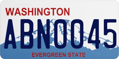 WA license plate ABN0045