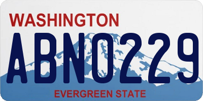 WA license plate ABN0229