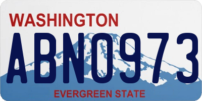 WA license plate ABN0973