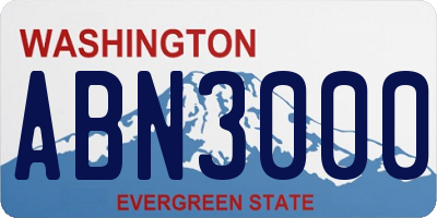 WA license plate ABN3000