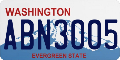 WA license plate ABN3005