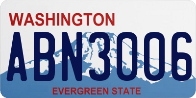 WA license plate ABN3006