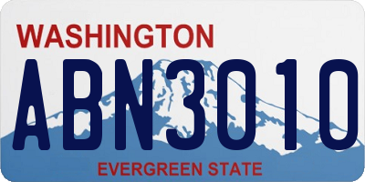 WA license plate ABN3010