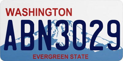 WA license plate ABN3029